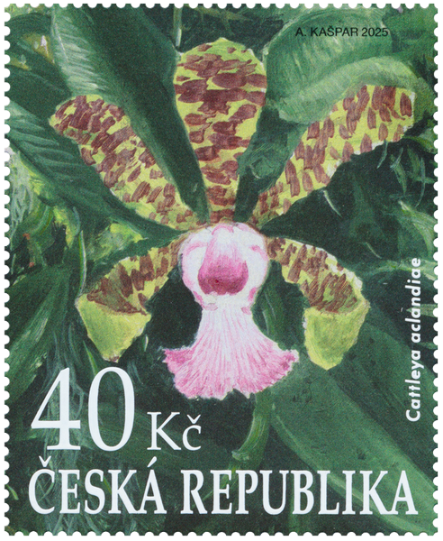 Bot. zahrada Brno: 40 Kč / (A. Kašpar)